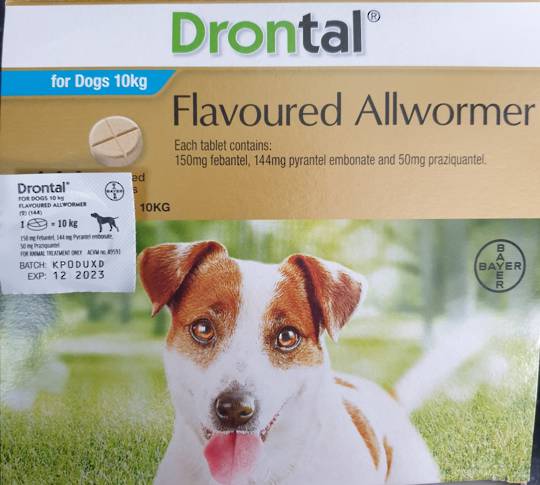 Drontal AllWormer for Dogs 5-10kg / 1 Tablet